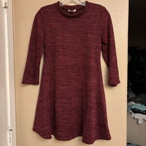 Pinc Maroon Skater Dress